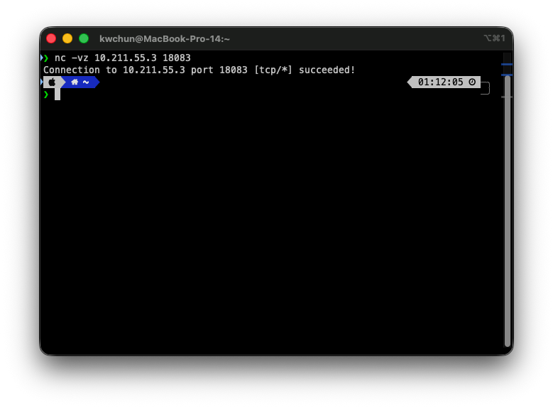nc를 사용하여 RealFlight 포트 연결